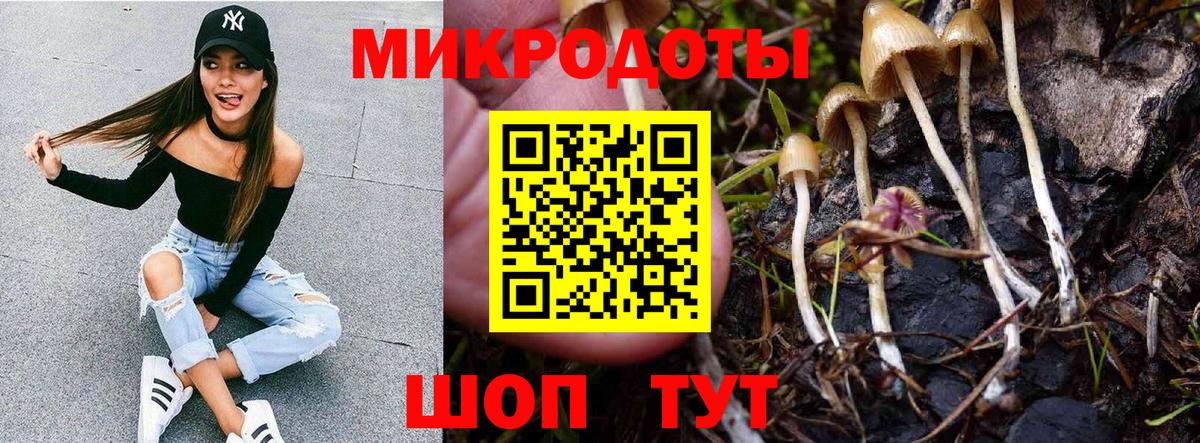 Новосибирск  Псилоцибиновые грибы мицелий  Вход с VPN  Псилоцибиновые грибы ЛСД 
