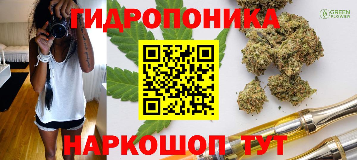 Шишки марихуана семена  Вход с VPN  Бошки марихуана MAZAR  Бошки Шишки White Widow  Новосибирск  Каннабис конопля 